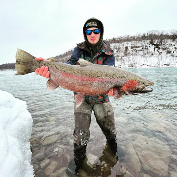 Meet your Posher, Alexander - Picture 1 of 1